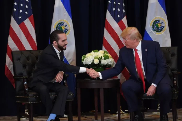 El presidente de El Salvador, Nayib Bukele, junto al presidente electo de Estados Unidos Donald Trump. Presidencia de El Salvador